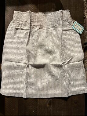 Smocked-Waist Mini Skirt in White and Light Gray Stripe